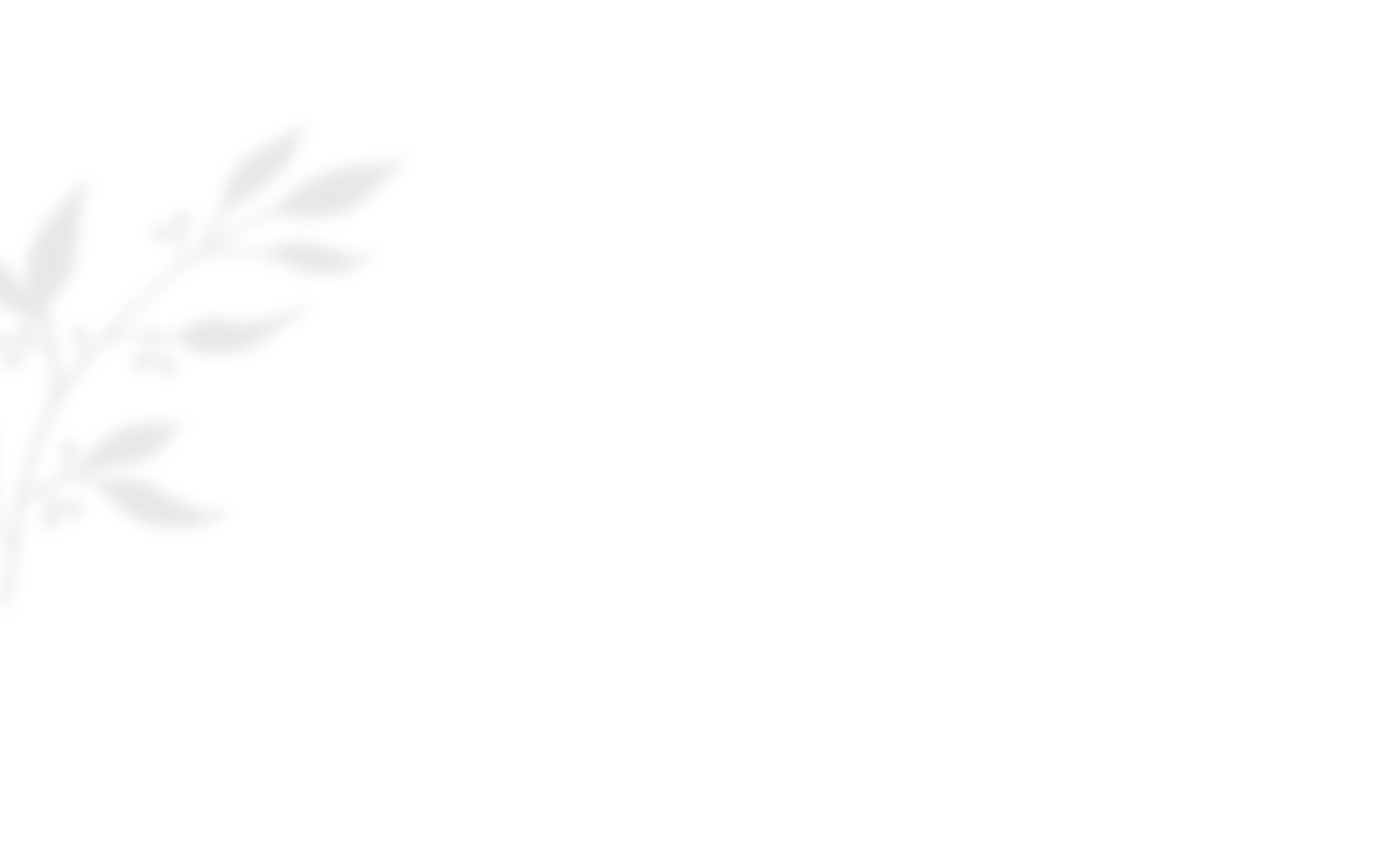 https://villamia.gr/wp-content/uploads/2020/10/shadow_leaves_03.png