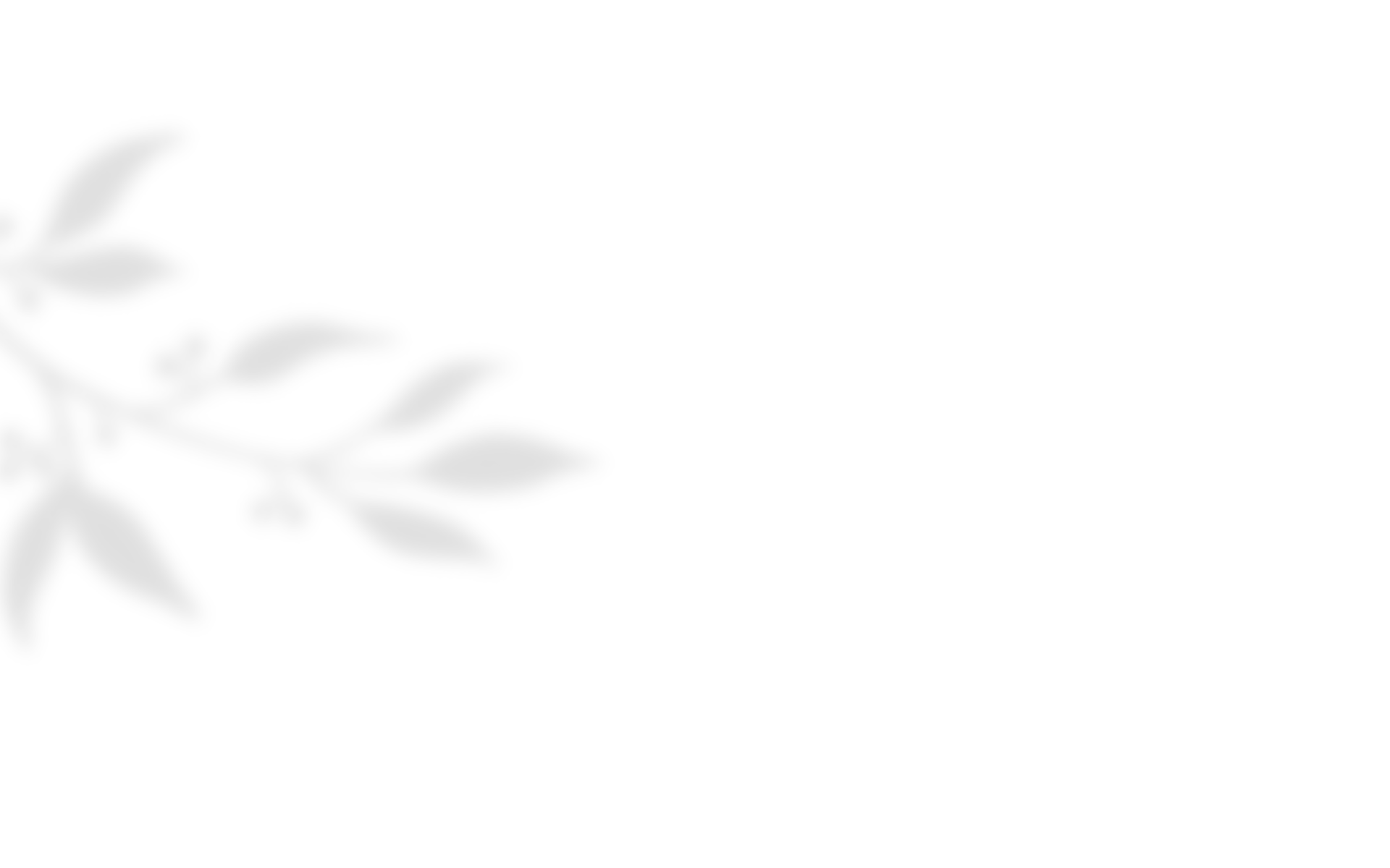 https://villamia.gr/wp-content/uploads/2020/10/shadow_leaves_04.png