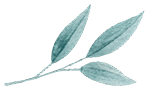 https://villamia.gr/wp-content/uploads/2020/11/image_leaves_01.png