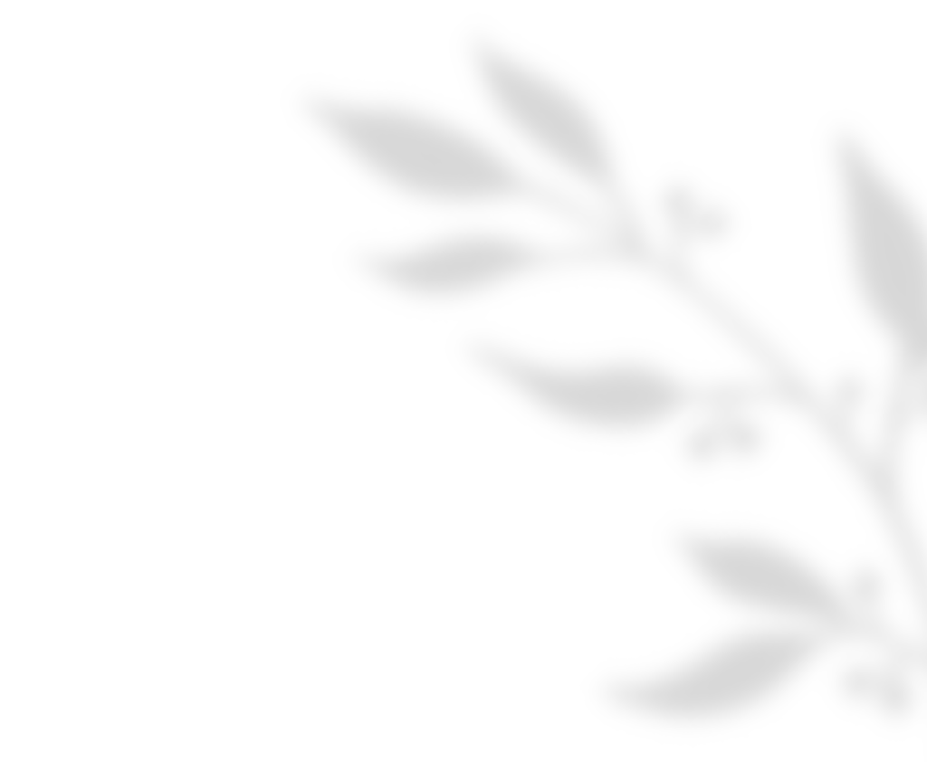 https://villamia.gr/wp-content/uploads/2020/11/shadow_leaves_01.png